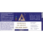 silver_easy_480_2025_x