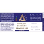 silver_plus_480_2025_x